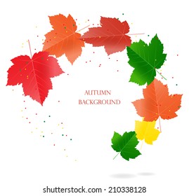 Autumn background with flying maple leaves, vector illustration