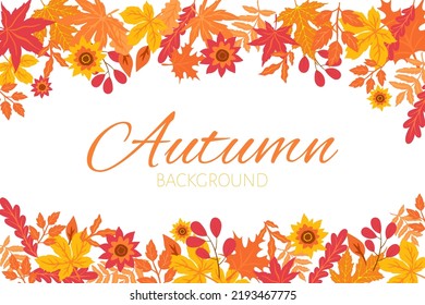 Autumn background with foliage. Autumn background with leaves for lettering. Vector background.