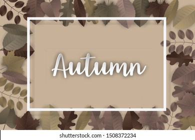 Autumn background with a frame and brown leaves. Vector illustration.