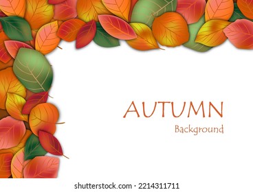 Autumn background frame with fall leaves vector