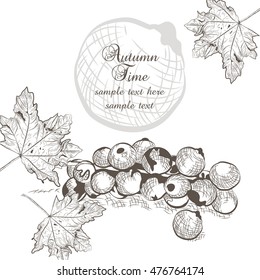 Autumn background with fruits and leaves. Vector fall season card. Old engraved illustration. Hand drawn ink technique