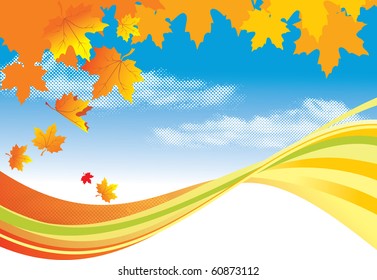 Autumn Background /  gold leaves and blue sky / vector