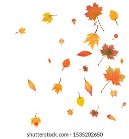 Autumn background with golden autumn  leaves. Vector illustration.