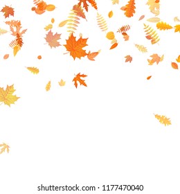 Autumn background with golden maple, oak and others leaves. EPS 10