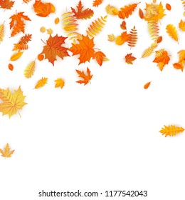 Autumn background with golden maple, oak and others leaves. EPS 10