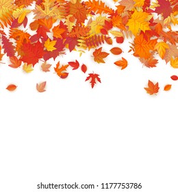 Autumn background with golden maple, oak and others leaves. EPS 10