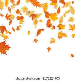 Autumn background with golden maple, oak and others leaves. EPS 10