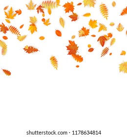 Autumn background with golden maple, oak and others leaves. EPS 10