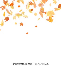 Autumn background with golden maple, oak and others leaves. EPS 10