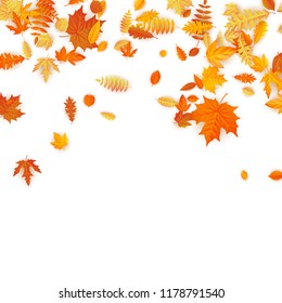 Autumn background with golden maple, oak and others leaves. EPS 10