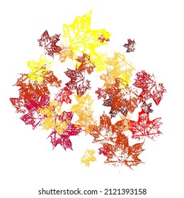 Autumn background with golden maple and oak leaves. Distress natural background red color. Cool tree foliage september background graphics.