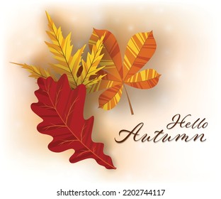 Autumn background with golden maple and oak leaves. Vector paper illustration.Vector set of greeting cards with autumn elements and lettering. Happy September, hello autumn, fall in love.