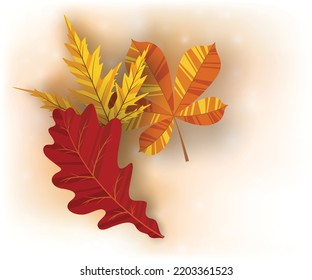 Autumn background with golden maple and oak leaves. Vector paper illustration. Vector set of greeting cards with autumn elements and lettering. Happy September, hello autumn, fall in love.