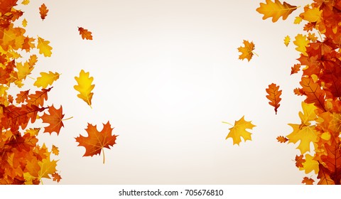 Autumn background with golden maple and oak leaves. Vector illustration.