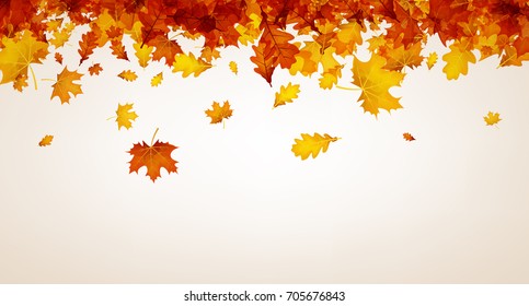 Autumn background with golden maple and oak leaves. Vector illustration.