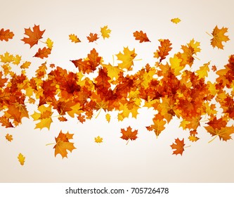 Autumn background with golden maple and oak leaves. Vector  illustration.