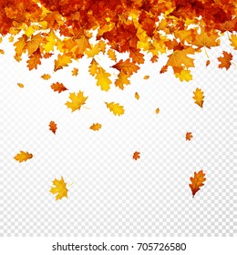 Autumn background with golden maple and oak leaves. Vector  illustration.