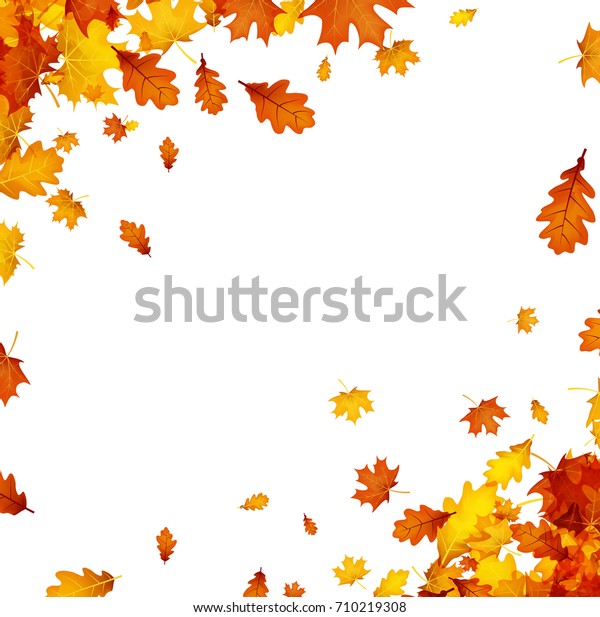秋の背景に金色のカエデとオークの葉 ベクター画像紙のイラスト のベクター画像素材 ロイヤリティフリー