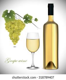 Autumn background, grape vine, wine
