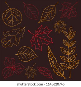 Autumn background with hand draw doodle leaves