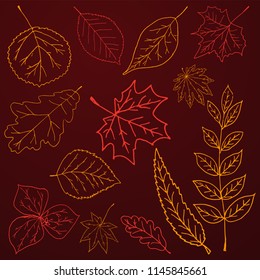 Autumn background with hand draw doodle leaves