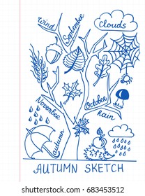 Autumn background. Hand draw of doodles. Vector illustration on notebook page.