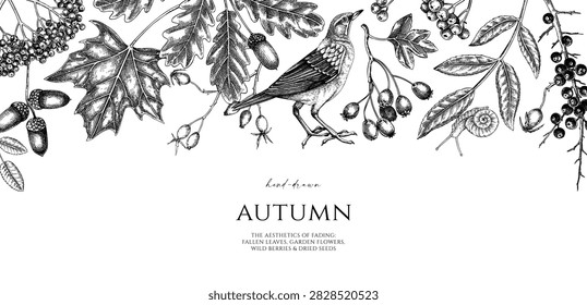 Autumn background with hand drawn botanical illustrations. Vintage fallen leaves, wild berries and nuts banner design. NOT AI generated