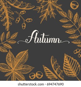 Autumn background with hand drawn doodle leaves and hand made trendy lettering. Banner, flyer, brochure. Advertising