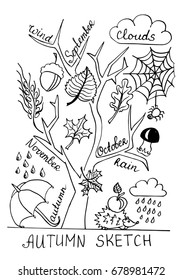 Autumn background. Hand drawn of doodles. Vector illustration.