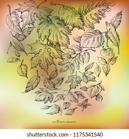 Autumn background, hand drawn falling leaves