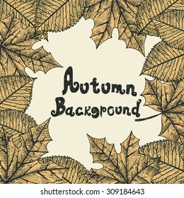 Autumn background. Hand drawn. Isolated objects.