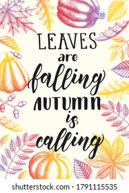 Autumn background with hand drawn leaves and pumpkins. Autumn lettering calligraphy phrase - Leaves are falling, autumn is calling. Hand made motivation quote. Sketch, Engraving. Vector design