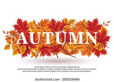 autumn background hand drawn realistic vector 01. files can be edited for personal or commercial use, please follow and support my account thanks for following me.