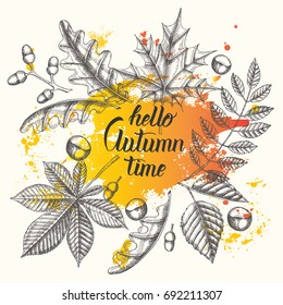 Autumn background. Hand written brush trendy quote 'Hello Autumn time". Hand drawn leaves and brush stroke. Sketch. Engraving illustration. Poster, flyer, brochure, web, advertising