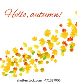 Autumn background. Hello autumn Vector illustration . Many flying yellow and red leaves on white background.