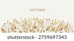 Autumn background. Horizontal border of autumn plants, flowers, leaves, branches and wild herbs. Fall nature. Vector illustration