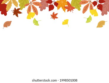 Autumn background illustration, fallen leaves frame