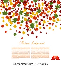 Autumn background. Illustration of falling red, yellow and green maple leaves. 