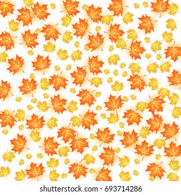 Autumn background illustration. Vector design of maple leaf fall on white