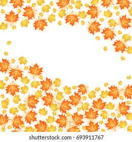 Autumn background illustration. Vector design of maple leaf fall on white