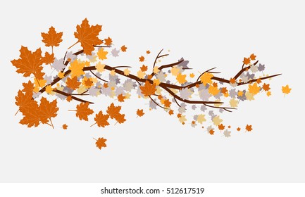 Autumn background isolated on white with maple leaves and brunch.