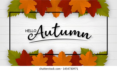 Autumn background layout decorate with leaves and frame leaflet or web banner.Vector illustration template.