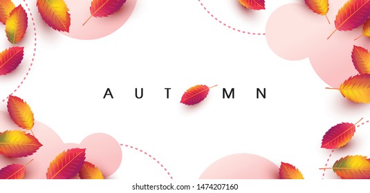Autumn background layout decorate with leaves for poster and frame leaflet or web banner.Vector illustration template.