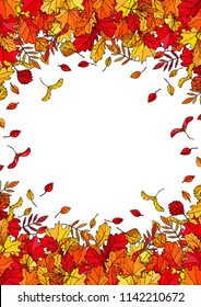 Autumn Background Layout Frame with Falling Leaves. Poster or Card. Maple Rowan, Oak, Hawthorn, Birch. Red, Orange and Yellow. Realistic Hand Drawn High Quality Vector Illustration. Doodle Style.
