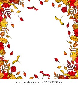 Autumn Background Layout Frame with Falling Leaves. Poster or Card. Maple Rowan, Oak, Hawthorn, Birch. Red, Orange and Yellow. Realistic Hand Drawn High Quality Vector Illustration. Doodle Style.