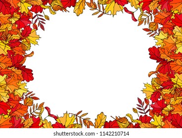 Autumn Background Layout Frame with Falling Leaves. Poster or Card. Maple Rowan, Oak, Hawthorn, Birch. Red, Orange and Yellow. Realistic Hand Drawn High Quality Vector Illustration. Doodle Style.