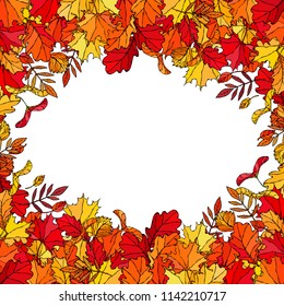 Autumn Background Layout Frame with Falling Leaves. Poster or Card. Maple Rowan, Oak, Hawthorn, Birch. Red, Orange and Yellow. Realistic Hand Drawn High Quality Vector Illustration. Doodle Style.