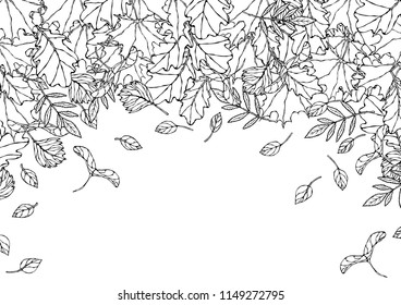 Autumn Background Layout Frame with Falling Leaves. Poster or Card. Maple Rowan, Oak, Hawthorn, Birch. Red, Orange and Yellow. Realistic Hand Drawn High Quality Vector Illustration. Doodle Style.