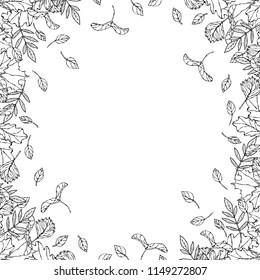 Autumn Background Layout Frame with Falling Leaves. Poster or Card. Maple Rowan, Oak, Hawthorn, Birch. Red, Orange and Yellow. Realistic Hand Drawn High Quality Vector Illustration. Doodle Style.