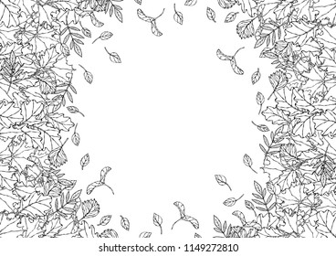 Autumn Background Layout Frame with Falling Leaves. Poster or Card. Maple Rowan, Oak, Hawthorn, Birch. Red, Orange and Yellow. Realistic Hand Drawn High Quality Vector Illustration. Doodle Style.
